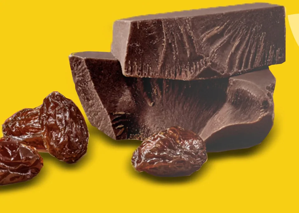 Chunks of dark chocolate beside sun-dried raisins