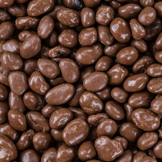It's Delish Milk Chocolate Covered Raisins