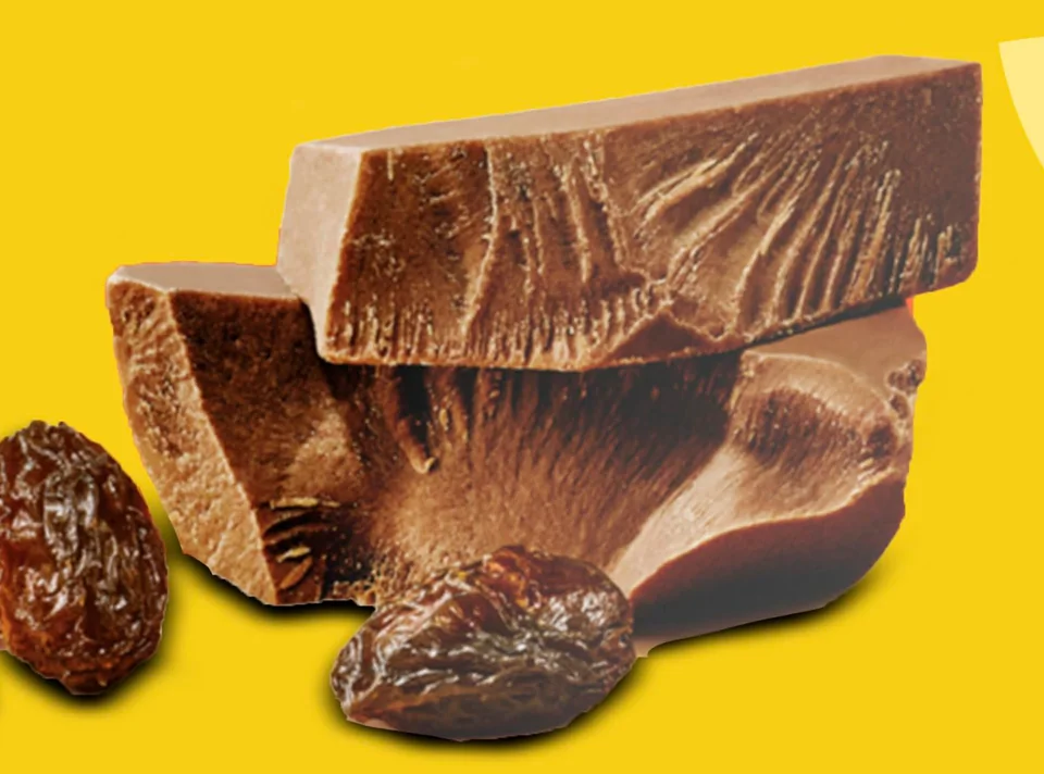 Chunks of milk chocolate beside sun-dried raisins